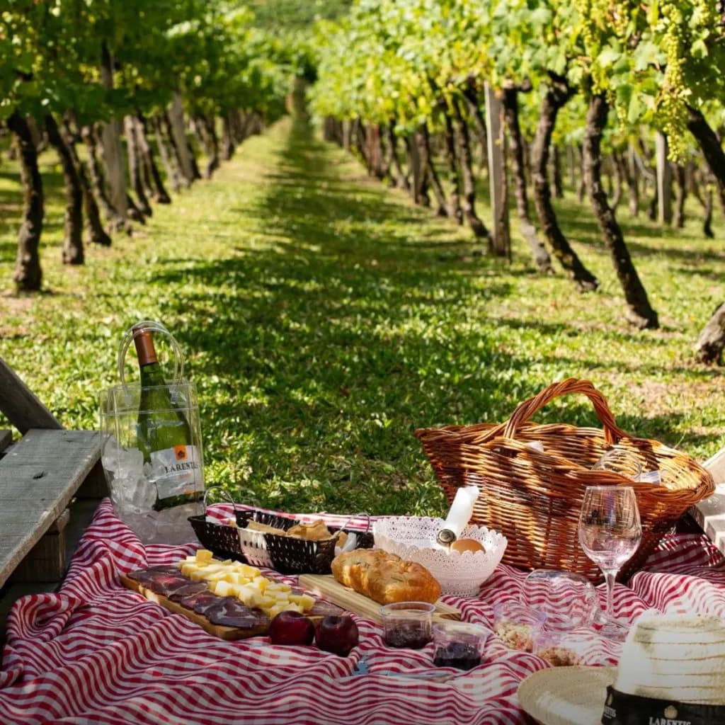 Piquenique entre os vinhedos de Stellenbosch